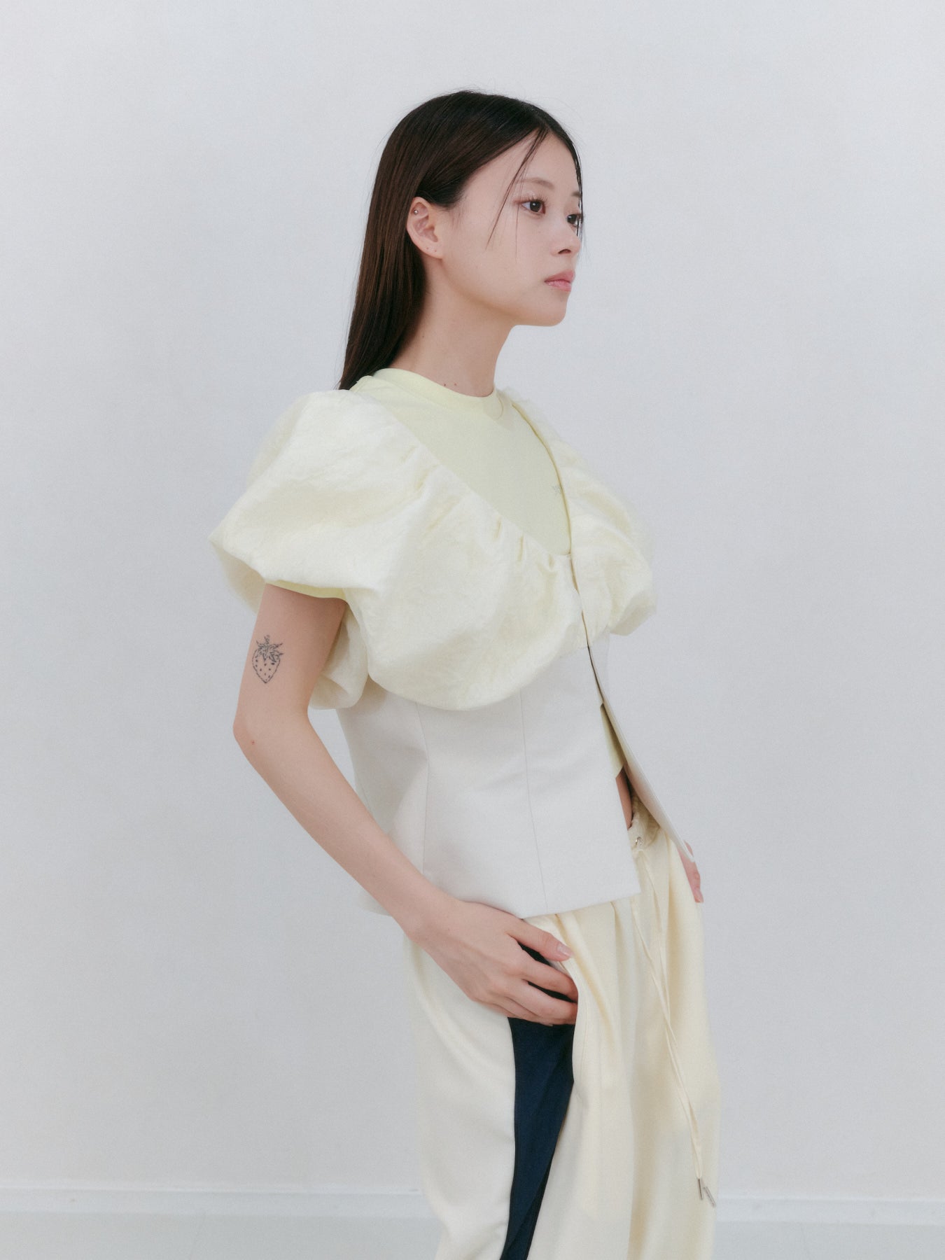 シアーパフハーフトップ