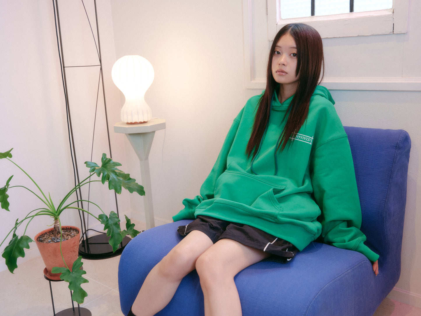 VIVIDロゴフーディー