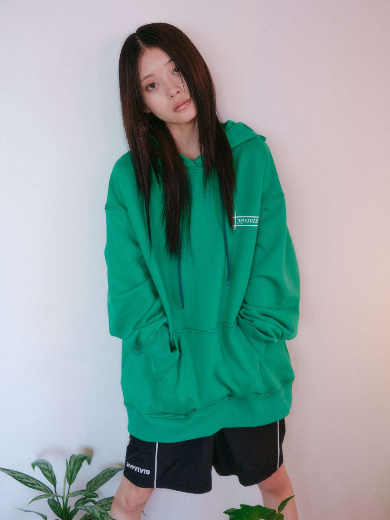 VIVIDロゴフーディー