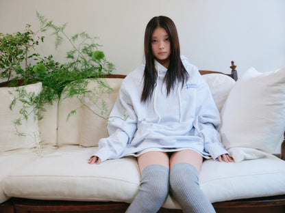 VIVIDロゴフーディー